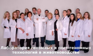 069ac2b9d8682b303f65a276c9fbbcf0.jpg
