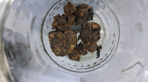 0a115813d8d394ddf908cad47cc8def5.jpg