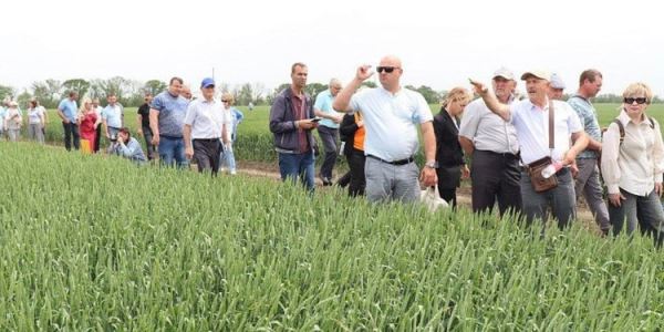 Специалисты агрохимпрома Китая участвовали в семинаре по защите озимой пшеницы в Новоалександровском районе Ставропольского края