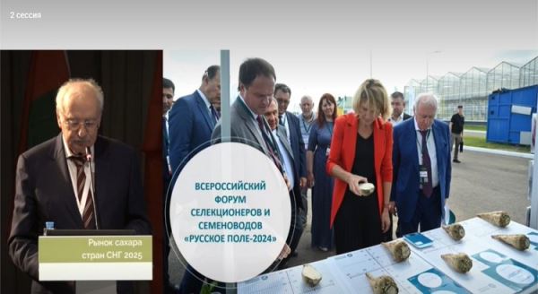 Свеклосахарный подкомплекс: новые точки роста