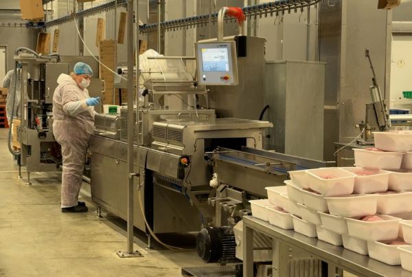 Приморские птицеводы будут перенимать опыт коллег из Беларуси по индейке